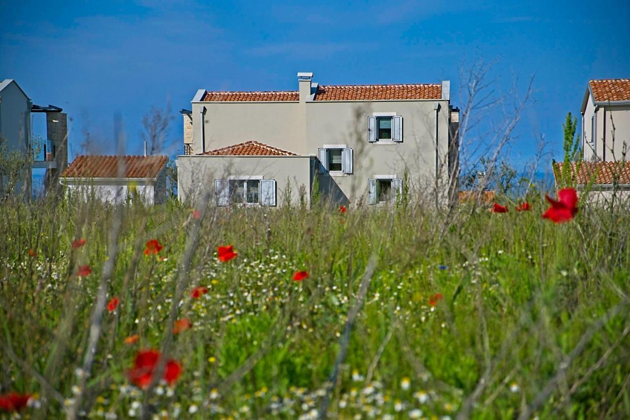 Villa Flamingo Kaštelir 외부 사진