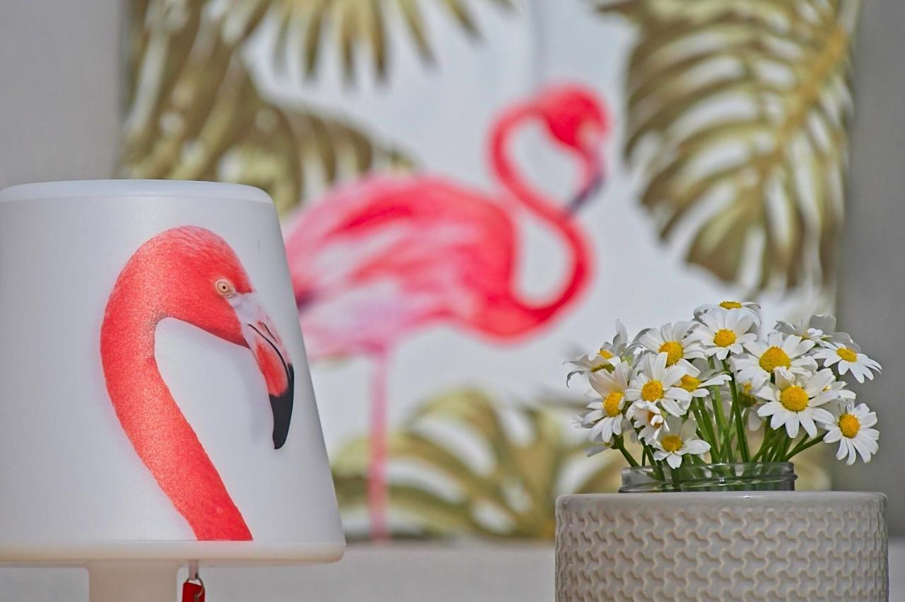Villa Flamingo Kaštelir 외부 사진